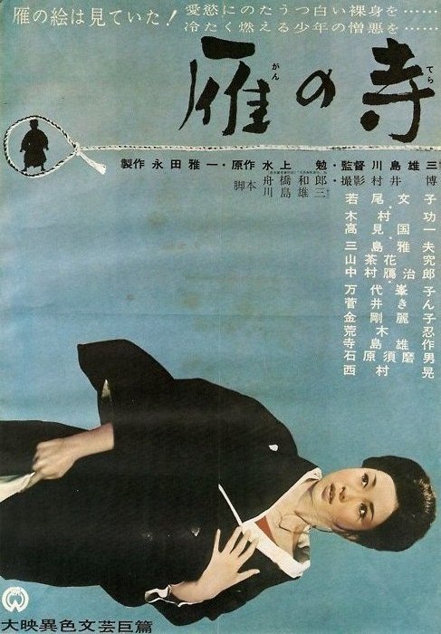 首发电影网影视海报