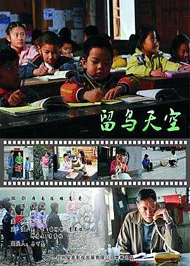 盖斯影视海报